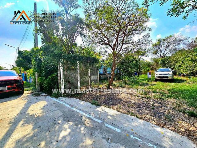 ที่ดิน 100 ตร.ว. หลักหก (ซอยเมืองเอก) พหลโยธิน 87 เหมาะปลูกบ้าน อากาศดี ถนนคอนกรีต ปลูกต้นไม้หลายชนิด ราคาดีมาก