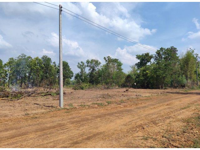 ที่ดินบ้านสวน โฉนดครุฑแดงราคาถูก เริ่มต้น 100 ตร.วา 79,000 บาท