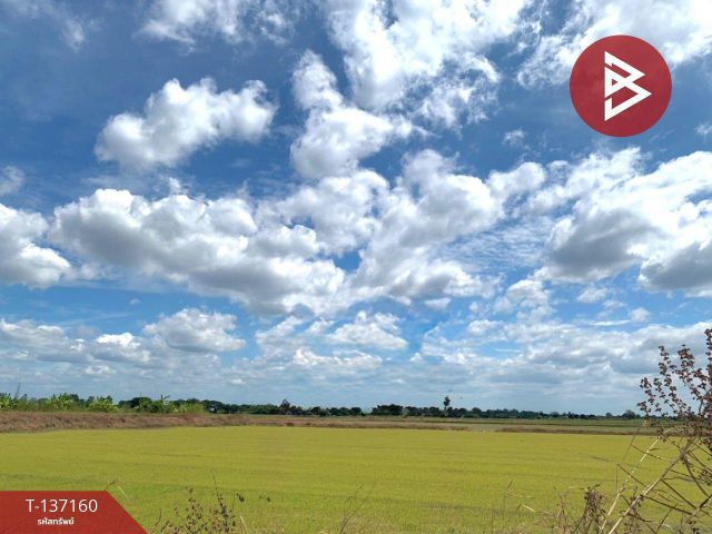 ขายที่ดิน เนื้อที่ 6 ไร่ 1 งาน 78 ตร.วา พรหมบุรี สิงห์บุรี
