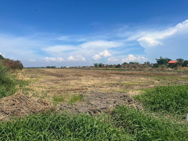 ขายที่ดิน พื้นที่ ต.ลำปลาทิว อ.ลาดกระบัง กรุงเทพฯ