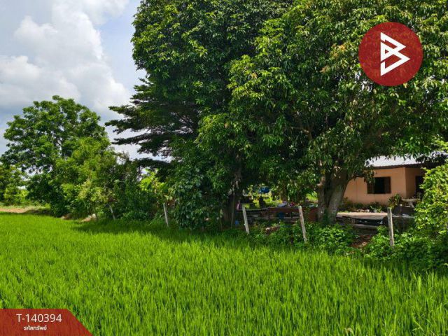 ขายที่ดิน เนื้อที่ 2 ไร่ 3 งาน ดอนเจดีย์ สุพรรณบุรี