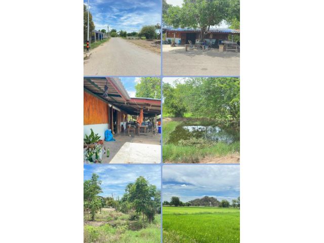บ้านพร้อมที่ดิน วิวเขา ทุ่งนาสวยๆ