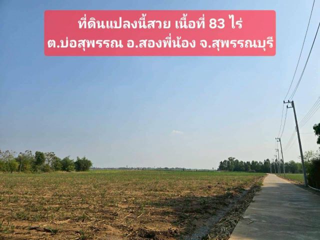 ขายที่ดินเปล่า 83 ไร่ อ.สองพี่น้อง จ.สุพรรณบุรี