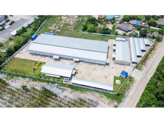 F366 ขายโรงงานพร้อมใช้งาน บ้านบึง ชลบุรี ขนาดที่ดิน 11 ไร่ 2 งาน 52 ตร.วา