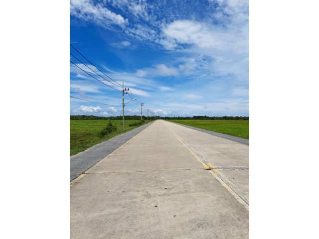 ที่ดิน100ไร่ติดถนน.โรงเเยกก๊าสธรรมชาติ อ.จะนะ จ.สงขลา