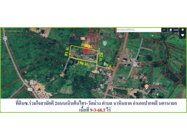 ขายถูก️ ที่ดิน ซ ร่วมใจสามัคคี 2 ถ. ต้นไทร-วัดม่วง ต.นาหินลาด อ. ปากพลี นครนายก