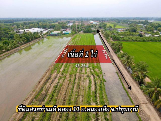ที่ดินเหมาะทำบ้านสวนเกษตร คลอง 11 อ.หนองเสือ จ.ปทุมธานี แปลงละ 1 ไร่ ล็อก 2 ไร่ละ 750,000 บาท ล็อก 1 ไร่ละ 850,000 บาท