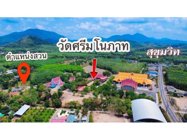ขายที่ดินเปล่าพร้อมสวนผลไม้ใกล้วัดศรีวโนภาส แกลง จ.ระยองเนื้อที่1ไร่ขายราคา2.000.000ลบ.