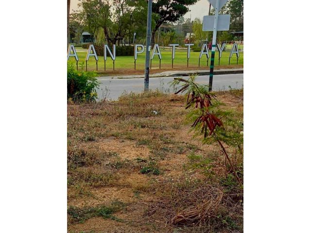 ขายที่ดิน79ตรว.พัทยา ชลบุรี