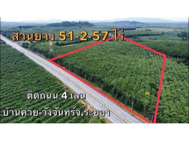 ขายที่ดินสวนยางอายุ7ปีติดถนน4เลนเส้นเขาตาอิ๋นวังจันทร์จ.ระยองเนื้อที่51ไร่2งาน57ตรว.ขายราคาไร่ละ1.000.000ลบ.