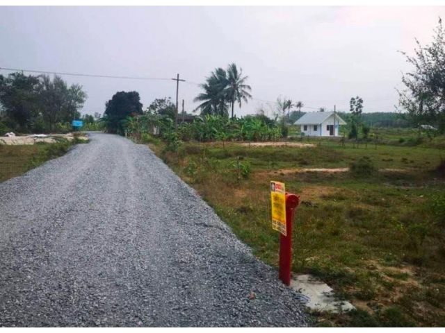 ขายที่ดิน319ตรว.หนองขยาด ชลบุรี