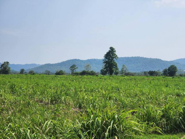 L1100 ขายที่ดินวิวภูเขา 55 ไร่ แก่งคอย สระบุรี