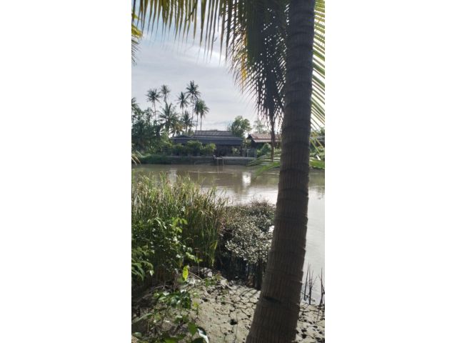 ขายที่ดิน ด้านหน้าติดถนนลาดยาง ด้านท้ายติดคลอง