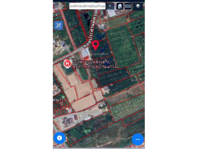 ขายที่ดิน สวนปาล์ม ติดถนน