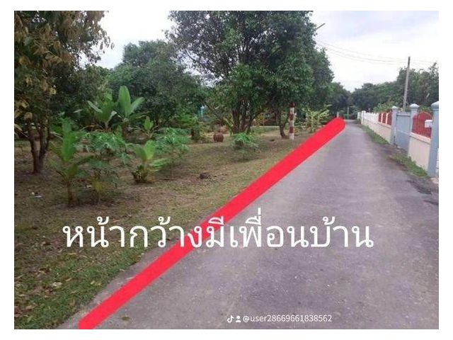 L876aขายที่ดินพร้อมสวนผลไม้ 290 ตรว ดงละคร นครนายก ใกล้กรุงเทพฯราคาขาย 1.75 ล้านบาท