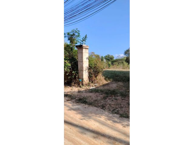 ขายที่ดิน 1 ไร่