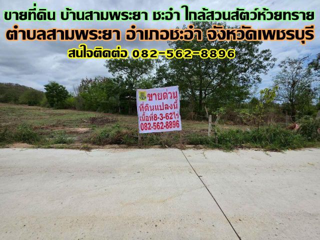 ขายที่ดิน บ้านสามพระยา ชะอำ ใกล้สวนสัตว์ห้วยทราย