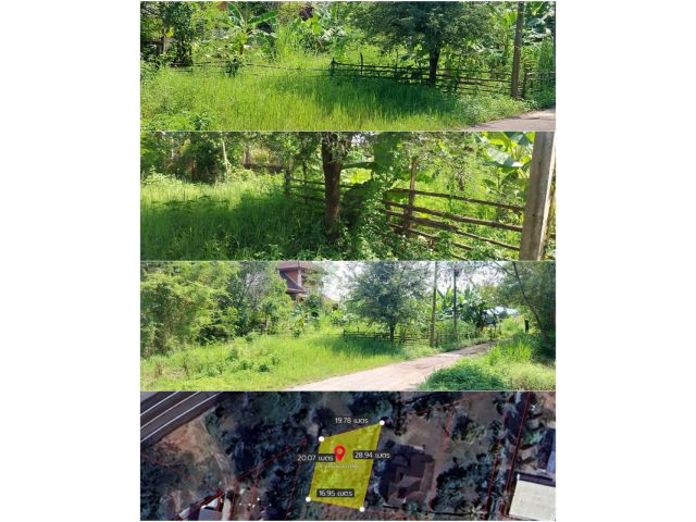 +++ Uๅeที่ดิน 107 ตรว. ต.แช่ช้าง อ.สันกำแพง จ.เชียงใหม่