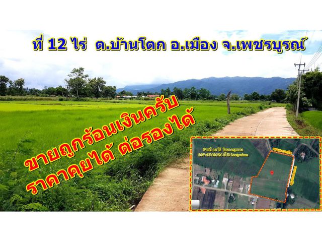 ด่วนมากครับ....แปลงนี้ลดราคาสุดๆครับ 087-9743824บี้