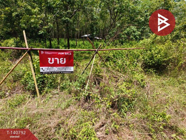 ขายที่ดิน เนื้อที่ 13 ไร่ 11 ตร.วา เพ็ญ อุดรธานี