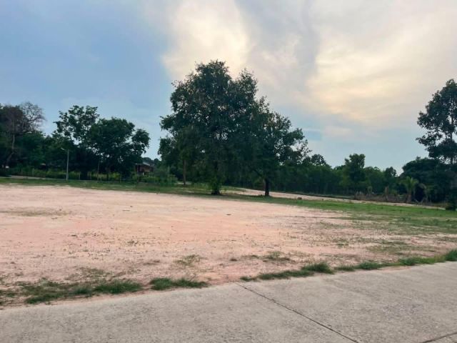 ที่ดินเทศบาลหนองกี่ 300 ตรว.