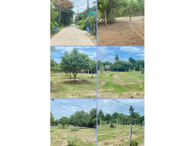 ที่ดินในชุมชนใกล้ตลาด