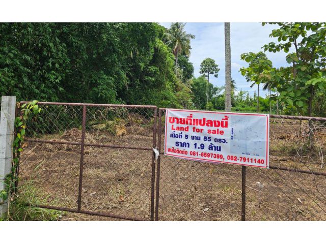 ขายที่ดินเปล่า เนื้อที่ 5งาน 55ตรว. (555ตรว.) เขตเทศบาล