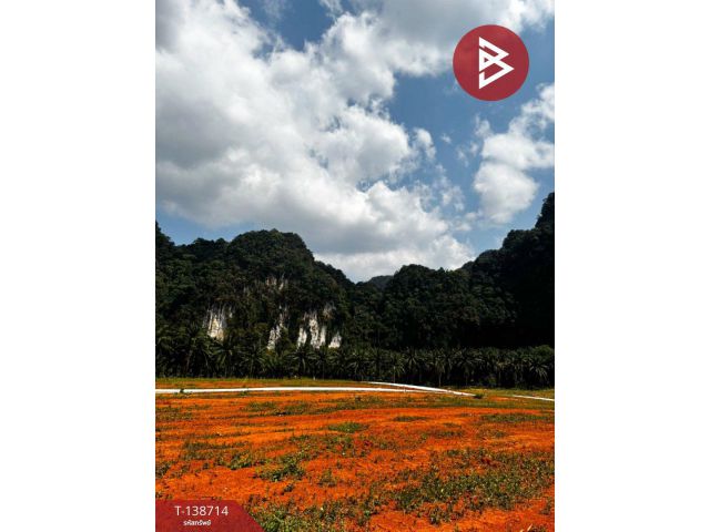 ขายที่ดิน แบ่งขาย 9 ไร่ โครงการเศรษฐีแลนด์ เขาทอง กระบี่ ทำเลทอง วิวสวย