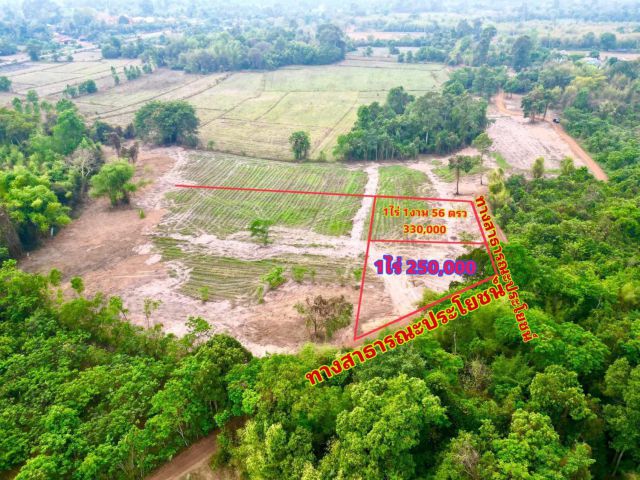 2 ไร่ 1 งาน 56 ตรว ยกแปลง 450,000