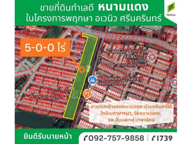 ขายที่ดินในโครงการพฤกษา อเวนิว ศรีนครินทร์ หนามแดง