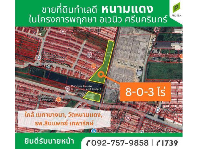 ขายที่ดินในโครงการพฤกษา อเวนิว ศรีนครินทร์