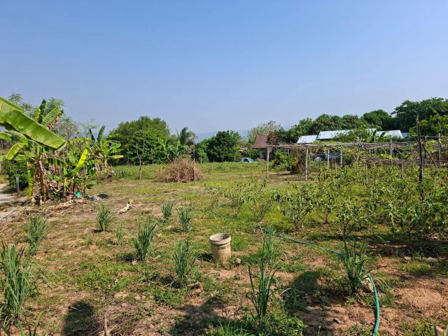 ที่ดินสวยภูเรือ เขตเทศบาลเหมาะกับบ้านสวนมาก 1 โร่โฉนด ใกล้ตลาดสด เซเว่นเดินทางสะดวก