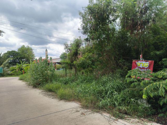 ขายที่ดินจัดสรร ลำลูกกาคลอง9