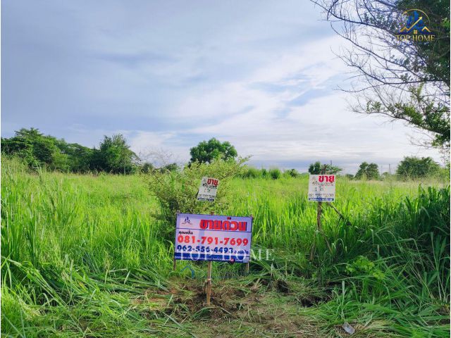 ขายด่วน️ที่ดิน 1 ไร่ ศรีราชาห่างจากทางด่วนมอเตอร์เวย์หมายเลข 7 เพียง 10 นาที