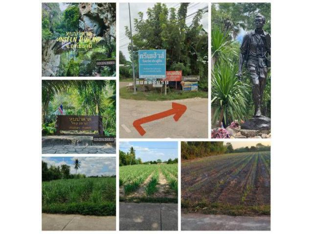 ขายที่ดินสวยติดถนน อำเภอลานสัก อุทัยธานี เดินทางสะดวก ใกล้แหล่งท่องเที่ยว