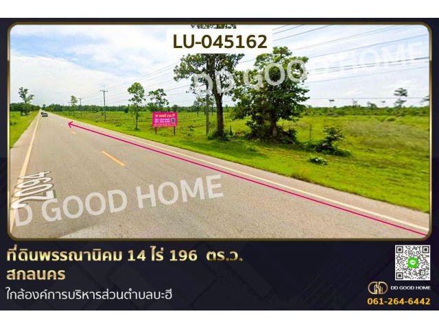 ที่ดินพรรณานิคม 14 ไร่ 196 ตร.ว. สกลนคร ใกล้องค์การบริหารส่วนตำบลบะฮี LU-045162