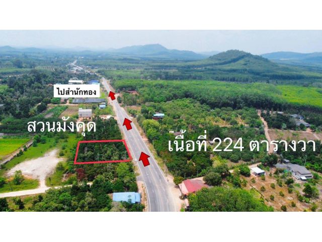 ขายที่ดินสวนผลไม้ติดถนนหลักเส้นสำนักทอง แกลง จ.ระยอง เนื้อที่224ตรว.ขายราคา1.700.000ลบ.