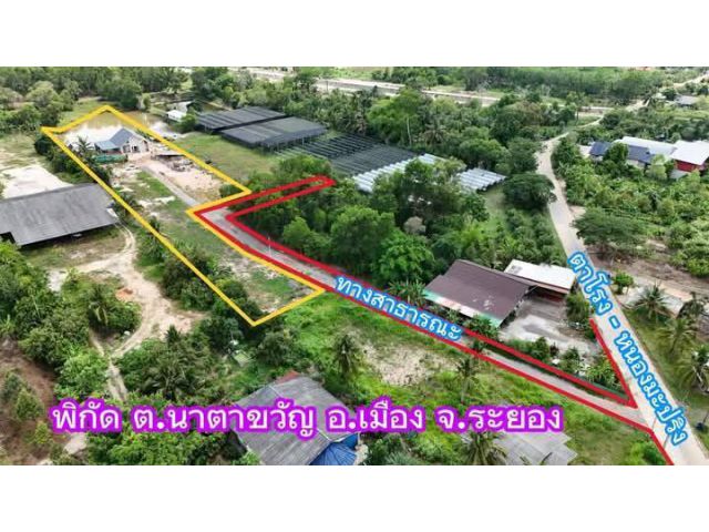 ขายบ้านสวนพร้อมที่ดินนาตาขวัญ อ.เมือง จ.ระยอง เอกสารครุฑแดง น.ส.4 จ.เนื้อที่ 3-0-9 ไร่ขายราคา5.400.000ลบ.ยกแปลง