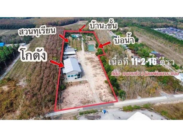 ขาย 38.000.0000 ล.บ.นัดดูที่ดินได้ครับ ขายบ้านพร้อมสิ่งปลูกสร้าง โกดัง สวนทุเรียน เนื้อที่ 11ไร่2งาน16ตรว. มี 2 โรงงานมาบข่าจ.ระยอง