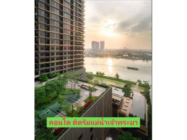 ขาย/เช่า เดอะ โพลิแทน รีฟ (The Politan Rive) นนทบุรี