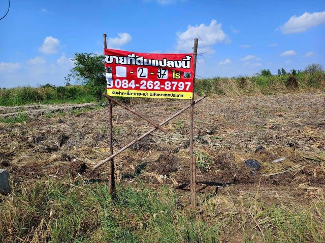 ขายที่ดินเปล่า 297 ตร.ว. บางม่วง บางใหญ่ นนทบุรี | ใกล้ตลาด แหล่งชุมชน ราคาตรว.ละ 20,000 บาท เหมาะลงทุน