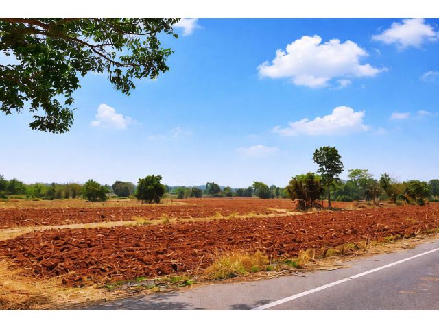 ขายที่ดิน(โฉนด)206ไร่ ต.ตะโกทอง อ.ซับใหญ่ จ.ชัยภูมิ