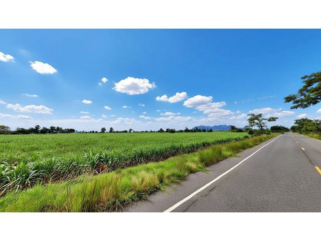 ขายที่ดิน(โฉนด)34ไร่ ติดถนนลาดยาง ต.หนองยายโต๊ะ อ.ชัยบาดาล จ.ลพบุรี