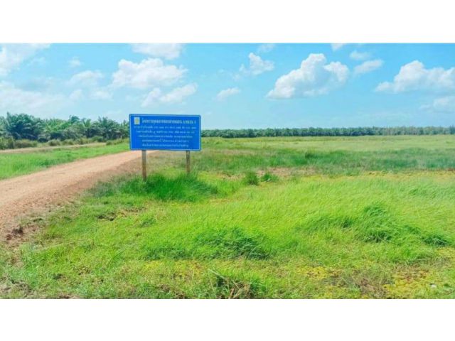 ขายที่ดิน 859 ไร่ ต.บ้านขาว อ.ระโนด จ.สงขลา