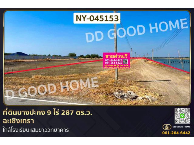 ที่ดินบางปะกง 9 ไร่ 287 ตร.ว. ฉะเชิงเทรา ใกล้โรงเรียนแสมขาววิทยาคาร NY-045153