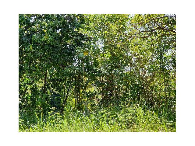 ขายที่ดินตำบลพลูตาหลวง อำเภอสัตหีบ จังหวัดชลบุรี พื้นที่ 15-1-19.2 ไร่
