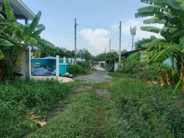 ขายที่ดินใกล้วัดราษฎร์รังสรรค์ 100 ตรว ติดถนนสาธารณะ  ซ.เพชรหึ่ง บางกะเจ้า พระประแดง สมุทรปราการ