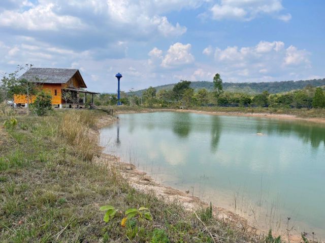 ขายที่ดินสวนป่าพร้อมบ้านแนว Eco Living ติดวิวเขาใหญ่เนื้อที่ 25 ไร่โฉนดนส.4ล้อมรอบด้วยธรรมชาติ อ.ประจันตคาม จ.ปราจีนบุรี