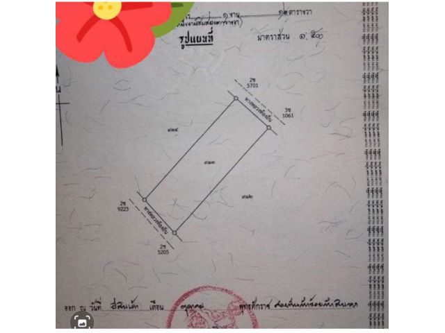 ขายที่ดินโฉนดพร้อมโอน 112 ตร.วา หลังสำนักงานการไฟฟ้าร้องกวาง ที่เปล่าเหมาะสร้างบ้าน