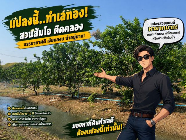 ที่ดินติดคลอง 1.5 ไร่ ใกล้อัมพวา พร้อมสวนส้มโอ มีทางคอนกรีตเข้าถึง